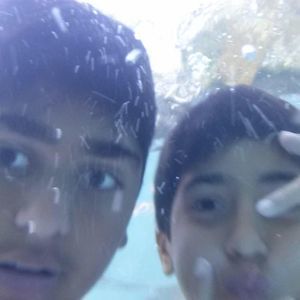 Meet your Posher, Bilal